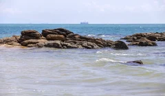 73F4CA10-9EF8-4EDB-AB55-4841EA708C45_1_105_c