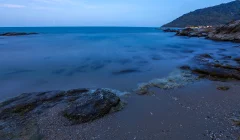 IMG_7810